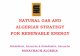 NATURAL GAS AND ALGERIAN STRATEGY FOR RENEWABLE Programme Committees/PGC A... NATURAL GAS AND ALGERIAN STRATEGY FOR RENEWABLE ENERGY Abbdelkrim. Ainouche & Abdelhakim. Ainouche SONATRACH-ALGERIA