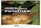 A Guide TO NufArm sOluTiONs Nufarm offers a wide range of crop protection products to help you harvest the most yield from your potato crop. This Guide to Nufarm Solutions provides