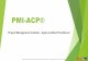 PMI-ACP®PMP® –Project Management Professional PgMP® –Program Management Professional PfMP® –Portfolio Management Professional PMI-ACP® –PMI Agile Certified Practitioner
