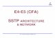 E4--E5 (CFA)E5 (CFA) SSTP ARCHITECTURE & E4--E5 (CFA)E5 (CFA) SSTP ARCHITECTURE & NETWORK. For internal