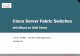 Cisco Server Fabric Switches - Mellanox Technologies · © 2005 Cisco Systems, Inc. All rights reserved. Cisco Confidential 1 Session Number Presentation_ID Cisco Server Fabric Switches
