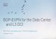 BGP-EVPN for the Data Center and L3 DCI 2018-07-27آ  What is E-VPN? â€¢ Ethernet VPN (EVPN) â€“ connect