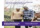 2016 ALZHEIMER’S DISEASE FACTS AND FIGURES Alzheimer’s Association. 2016 Alzheimer’s Disease Facts and Figures. Alzheimer’s & Dementia 2016;12(4). 2016 Alzheimer’s Disease
