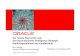 Der Oracle Discoverer und die Oracle Business ... Oracle Discoverer Architektur ¢â‚¬¢ Discoverer Desktop