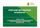 PEATLAND RESTORATION in Indonesia - env€¦ · • Indonesia has 15 to 20 million hectares of tropical peatland Between June and October 2015, 2.6 million hectares of land and forest