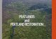 PEATLANDS and PEATLAND RESTORATION · PDF file and surrounding peatland • Developing institutional arrangements to deal with problems in peatland management • Conducting research