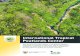 International Tropical Peatlands Center · 2019-07-05 · International Tropical Peatlands Center This document briefly outlines a new global peatlands institution to be based in