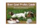 Boer Goat Guide Final draftNow the biggest countries for Boer goat production are the U.S., New Zealand, Australia and southeast China. Germany used to have a larger goat production