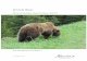 Grizzly Bear Occurrence Summary 2017 Grizzly Bear Occurrence Summary 2017 | BMA 4 7 Occupancy of grizzly