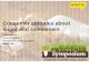 Consumer attitudes about sugar and sweeteners€¦ · Contains stevia and 1g sugar from fruit juice Artificial sweeteners: Aspartame and AceK, plus natural flavors A closer look at