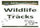 Wildlife Tracks Middle Creek Wildlife Management Area · • Tracks field guides: 1. Pocket naturalist “Animal Tracks”, an introduction to the tracks and sign of familiar North