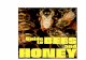 Introducing the honeybee - United Diversitylibrary.uniteddiversity.coop/Beekeeping/Guide_to_Bees_and_Honey.pdf · Introducing the honeybee The honeybee colony consists of a queen,