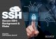 Secure SSH: Background & This eBook provides an introduction to Secure Shell's (SSH) key-based authentication