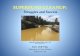 SUPERFUND CLEANUP - Sturm College of Law ... SUPERFUND CLEANUP: Struggles and Success Prof. Cliff Villa University of New Mexico School of Law Animas River at Bakers Bridge: Aug. 8,
