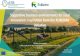 Supportive business environments for rural innovation ... · PDF file Supportive business environments for rural innovation: inspiration from the RUBIZMO initiative Muluken Adamseged