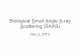 Biological Small Angle X-ray Scattering (SAXS) Biological Small Angle X-ray Scattering (SAXS) Dec 2,