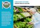 GROCERY STORE RESOURCE GUIDE - State of Oregon PREVENTION TIPS: FOOD LOSS PREVENTION OPTIONS FOR GROCERY