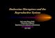 Endocrine Disruptors and the Reproductive System · PDF file Endocrine Disruptors • Types of endocrine disruptors – Pharmaceutical agents ... – altered sex ratio in humans and