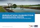 IRRIGATION SUBSECTOR GUIDANCE NOTE 2 Irrigation Subsector Guidance Note has significant comparative