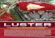 LUSTER - David J. Wagner, LLC. LUSTER THE BIRTH OF THE MODERN CAR occurred over 150 years ago in 1860