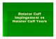 I-Rotator Cuff Impingement vs Rotator Cuff Tear.ppt · 2014-03-27 · Rotator Cuff Impingement vs Rotator Cuff Tears. What is Rotator Cuff Impingement? Highly occupied space between