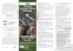 2020 Mentored Elk Hunting Key Rules Application deadline ... · PDF file Many elk within the elk hunting zone wear tracking collars or ear tags for research and monitoring purposes.