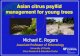 Asian citrus psyllid management for young treescitrusagents.ifas.ufl.edu/events/GrowersInstitute2013/PDF/11-Rogers... · Asian citrus psyllid management for young trees Michael E.