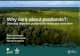 Why care about peatlands? · Why care about peatlands?: Detecting degraded peatlands for landscape restoration Daniel Murdiyarso ... Dryland wetlands Wet meadows Papu w Total 6,219