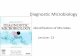 Diagnostic Microbiology - KSUfac.ksu.edu.sa/sites/default/files/lecture-_13_-new.pdf · Diagnostic Microbiology Identification of Microbes Lecture: 13 . Diagnosis of Fungal Infections