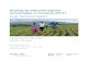 Scaling-up improved legume technologies in Tanzania (SILT) · PDF file Agribusiness Partnership and the Agricultural Seeds Agency (ASA) joined the Legume Alliance. Over 28 months,