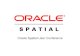 Oracle Spatial User Conference · PDF file 2012-06-01 · acquire, retain and grow high value customers CHALLENGES / OPPORTUNITIES • Ensure enterprise level security needs • Provide