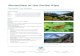 Butterflies of the Swiss Alps - · PDF file Butterflies of the Swiss Alps ... (2,230 metres), where one steps immediately into the true riches of the high alpine meadows. A ... After