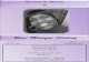 Reve’ Monique Sterling - New Philadelphia A.M.E. › resources › Obiturary-Reve-Sterling.pdf · PDF file Reve’ Monique Sterling born in the city of Bellflower, CA on June 20,