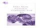 Elder Abuse Awareness Community Tool · PDF file Raising awareness and prevention of elder abuse requires the involvement of everyone. Elder abuse will be successfully prevented only