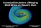 Numerical Simulations of Merging Black Holes and …asc.harvard.edu/fellows/symp_presentations/2016/Foucart...Numerical Simulations of Merging Black Holes and Neutron Stars Francois