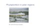 Phytoplankton in polar regions - folk.uio.nofolk.uio.no/steinka/roya/Phytoplankton in polar regions 4May.pdf · Phytoplankton in polar regions BIO 4400 2009 Bente Edvardsen. Arctic