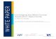 Leveraging the Wide Format Application Opportunity white paper Leveraging the Wide Format Application