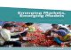 emerging markets final - Emerging markets Emerging... · PDF file 2012-02-02 · Executive Summary Emerging Markets, Emerging Models is addressed to those organizations and individuals