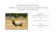 ELK HUNTING IN IDAHO · PDF file 2019-05-28 · [ELK HUNTING IN IDAHO: PALISADES] Next, your opinions about some possible management options. 32. Managing to produce more large bull