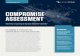 COMPROMISE ASSESSMENT - CrowdStrike · PDF file 2020-06-17 · Falcon Insight™ is CrowdStrike’s endpoint detection and response (EDR) solution, offering advanced cloud-native protection