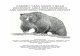 CABINET-YAAK GRIZZLY BEAR RECOVERY AREA 2018 …5 INTRODUCTION Grizzly bear (Ursus arctos) populations south of Canada are currently listed as Threatened under the terms of the 1973