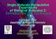 Single-Molecule Manipulation Experiments of ... Single-Molecule Manipulation Experiments of Biological