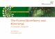 The Forest Biorefinery and Bioenergy · PDF file Conversion A Bio-crude Conversion A: UOP-Ensyn pathway ... (II) 15 Petroleum 15 Benzene Xylene Toluene Butanes Ethyl Benzene Cyclohexane