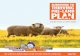 SURVIVING TO THRIVING PRE-LAMB - Zoetis SURVIVING TO THRIVING PLAN EVERY EWE, EVERY YEAR. THE BENEFITS