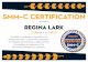 SMM~C Certification SMM~C Certification awarded to regina lark The SMM~C certification is awarded by
