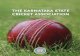 An overview of initiatives by THE KARNATAKA STATE CRICKET ... · 14 15 Based in Alur, the Bangalore grounds are built on the ideas of commit-ment – to the future of cricket and