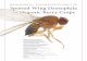 MANAGEMENT RECOMMENDATIONS Spotted Wing Drosophila in ... · PDF file Rufus Isaacs, Matt Grieshop, Heather Leach, Harit Bal, Philip Fanning, and Steve Van Timmeren ... Oscar Liburd