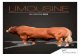 LIMOUSINE - gapts.it · Limousine Goat breeds : - Dairy: Saanen, Alpine - Beef: Boer EMBRYOS Genetic advance in fast motion To ensure maximum genetic advance, EVOLUTION International