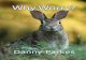 Why Worry? - Why Worry? By Danny Parkes W orrying is easy. You worry about how the need is going to