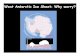 West Antarctic Ice Sheet: Why worry? West Antarctic Ice Sheet: Why worry? The WAIS is an example of